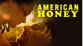 American Honey