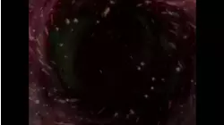 Primal