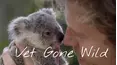 Vet Gone Wild