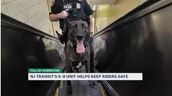 Toll of Commuting: Inside look at NJ Transit's K-9 unit