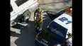 World's Wildest Police Videos
