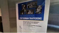 NY trafficking bill sparked by Turn to Tara passes Legislature, heads to governor's desk