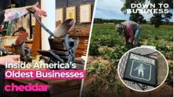 Businesses Older Than America: 250+ Year Old Companies Still Going Strong
