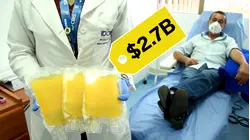 What Makes Blood Plasma So Expensive