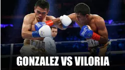 Gonzalez vs. Viloria