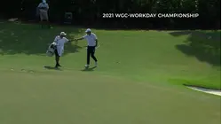 Every televised hole-out of Scottie Scheffler's PGA TOUR career