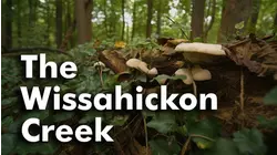 The Wissahickon Creek