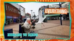 Humans vs Birds