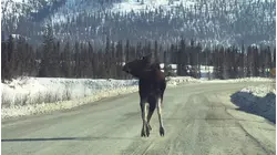 Killer Pass -- Ice Road Truckers