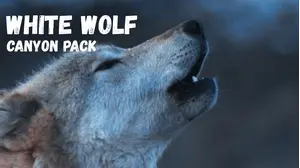 White Wolf: Canyon Pack