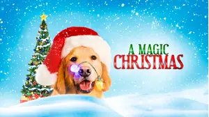 A Magic Christmas