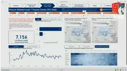 City of Houston launches $300,000 taxpayer-funded gun violence dashboard