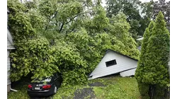 Fallen tree crushes garage and totals car in New Milford storm damage