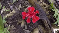 West Malaysia Part 3