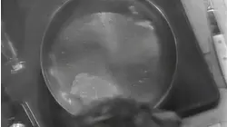 To Poach An Egg
