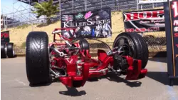 Fins, Form Without Function