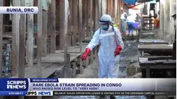 Rare Ebola strain spreading in Congo as WHO raises risk level