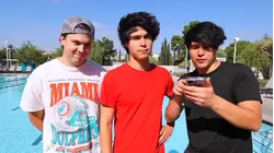 Busting 1,000 Myths in 24 Hours