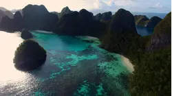 Indonesia - the Secret Life of Manta Rays