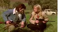 McLeod's Daughters