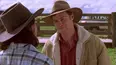 McLeod's Daughters