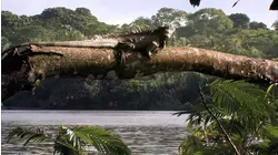 The Quiet Flow