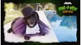 The Pet Collective Howl-O-Ween: Costume Edition