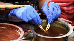 Why Patan Patola Saris Are So Expensive