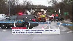 Downed trees and wires close Mamaroneck Ave. and exit ramp from Hutch on White Plains - Harrison border