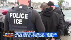 Hundreds detained by immigration agents could be released after order