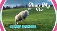 TPC That's My Pet