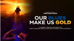 OUR BLUES MAKE US GOLD