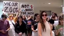 Battle brewing between Nashville Zoo and potential AI data center