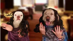 Ep. 2.7