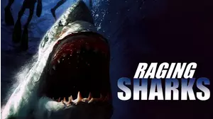 Raging Sharks