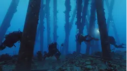 REEF WRECKS OF BONAIRE