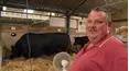 The Yorkshire Vet