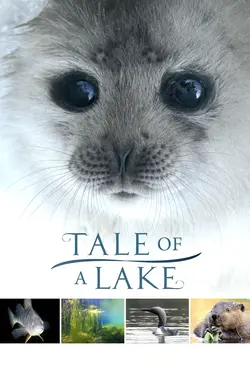 Tale of a Lake