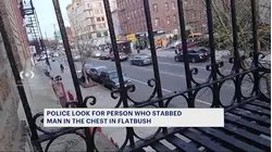 Suspect wanted for stabbing man's chest in Flatbush