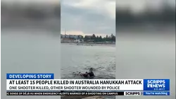 Father and son kill at least 15 people in attack on Hanukkah event in Australia