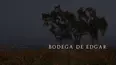 Bodega De Edgar
