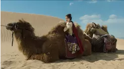 Camel