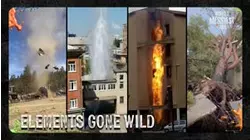 Elements Gone Wild