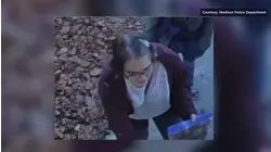 Woman who stabbed classmate for Slender Man cuts off GPS device: Cops