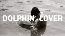 Dolphin Lover