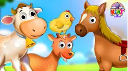 Baby Animals