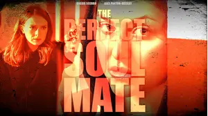The Perfect Soulmate