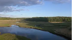 Land once meant for Shoreham Nuclear Power Plant becomes largest DEC acquisition on Long Island