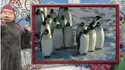 Deep Freeze