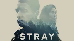 Stray